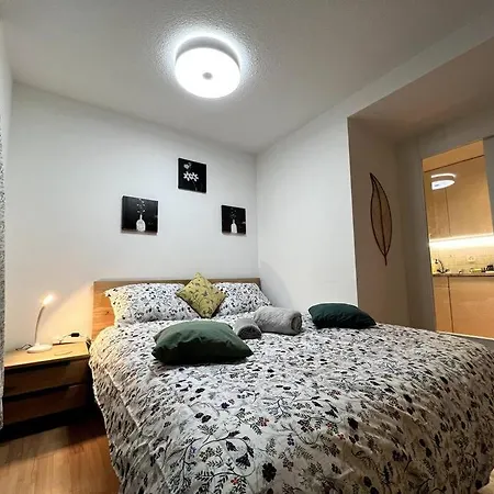 Modern 2br For Up To 6 Wef Exclusive Platz & Promenad Davos